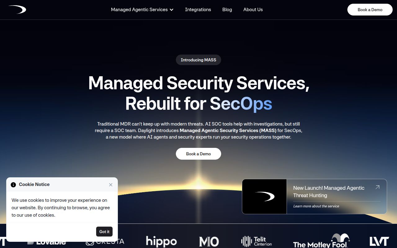 Screenshot of Daylight Security (daylight.ai) — Managed agentic security services