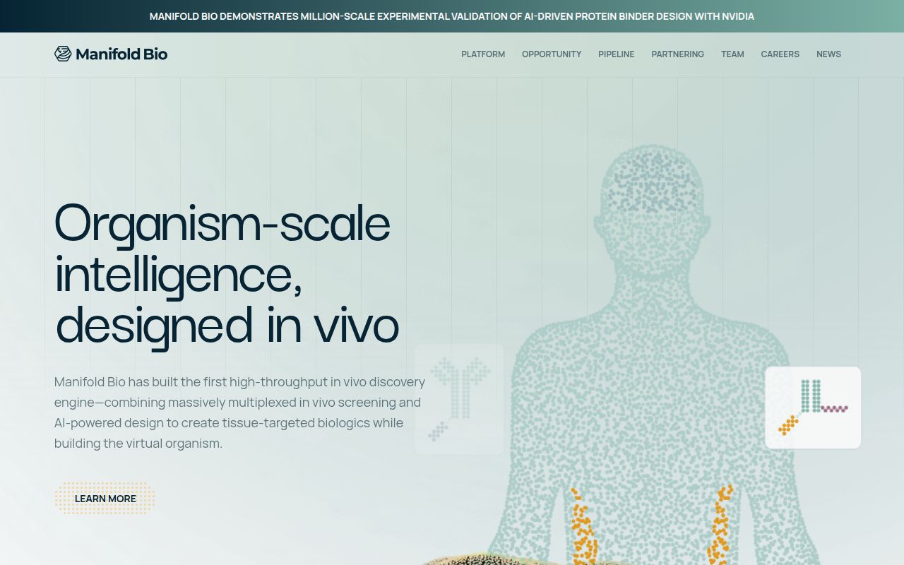 Screenshot of Manifold Bio (manifold.bio) — Tissue-targeted medicines, designed in vivo