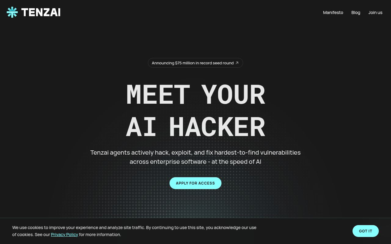 Screenshot of Tenzai (tenzai.com) — AI hacker for security teams